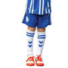 JUNIOR HOME SHORT 2025/26 Thumbnail